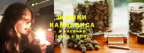 СК Новодвинск