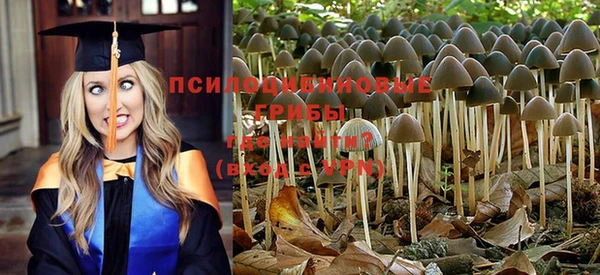 соль курить ск Аркадак
