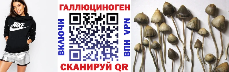 купить закладку  Баймак  Псилоцибиновые грибы ЛСД 