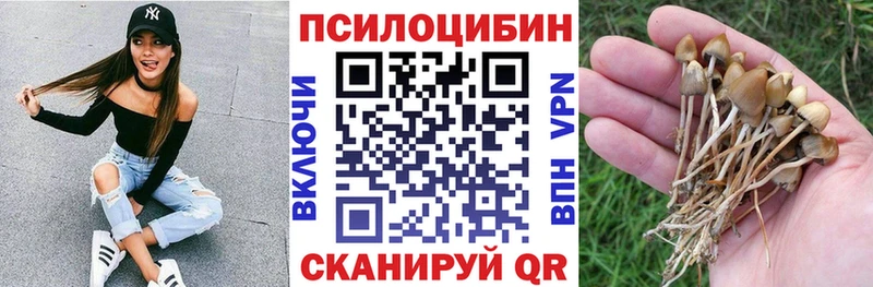 Псилоцибиновые грибы Magic Shrooms Баймак