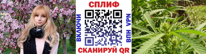 Каннабис план  магазин  наркотиков  hydra маркетплейс  нарко площадка формула  Баймак 